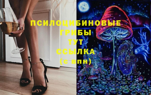 прущий лед Армянск