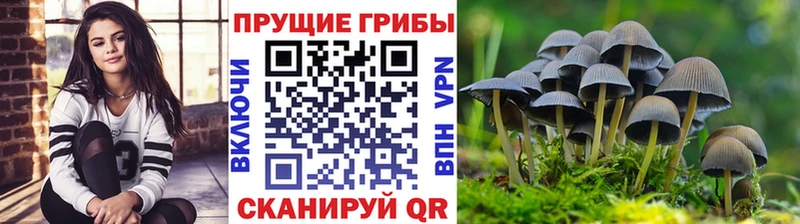 Галлюциногенные грибы мицелий  Усть-Джегута 